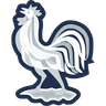 Seleção da França