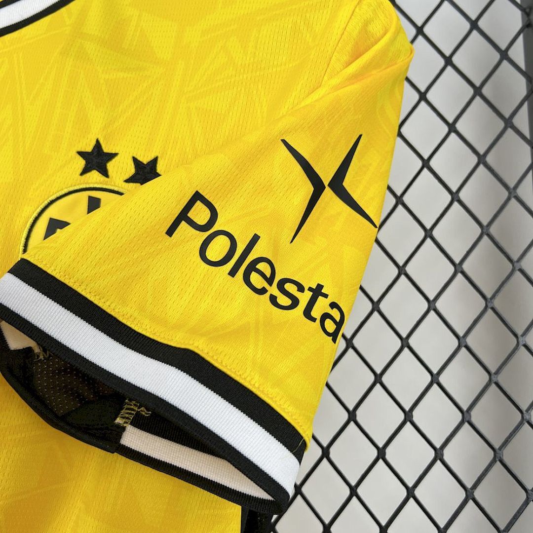 Camisola Borussia Dortmund Pré-Jogo 2025/26 3