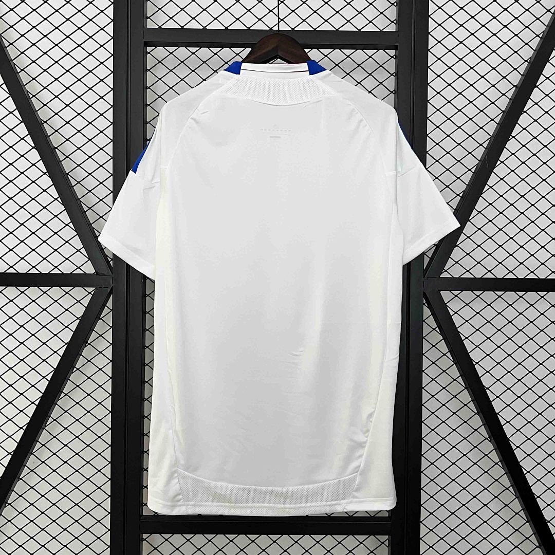 Camisola Retrô Lyon 2010/11 2