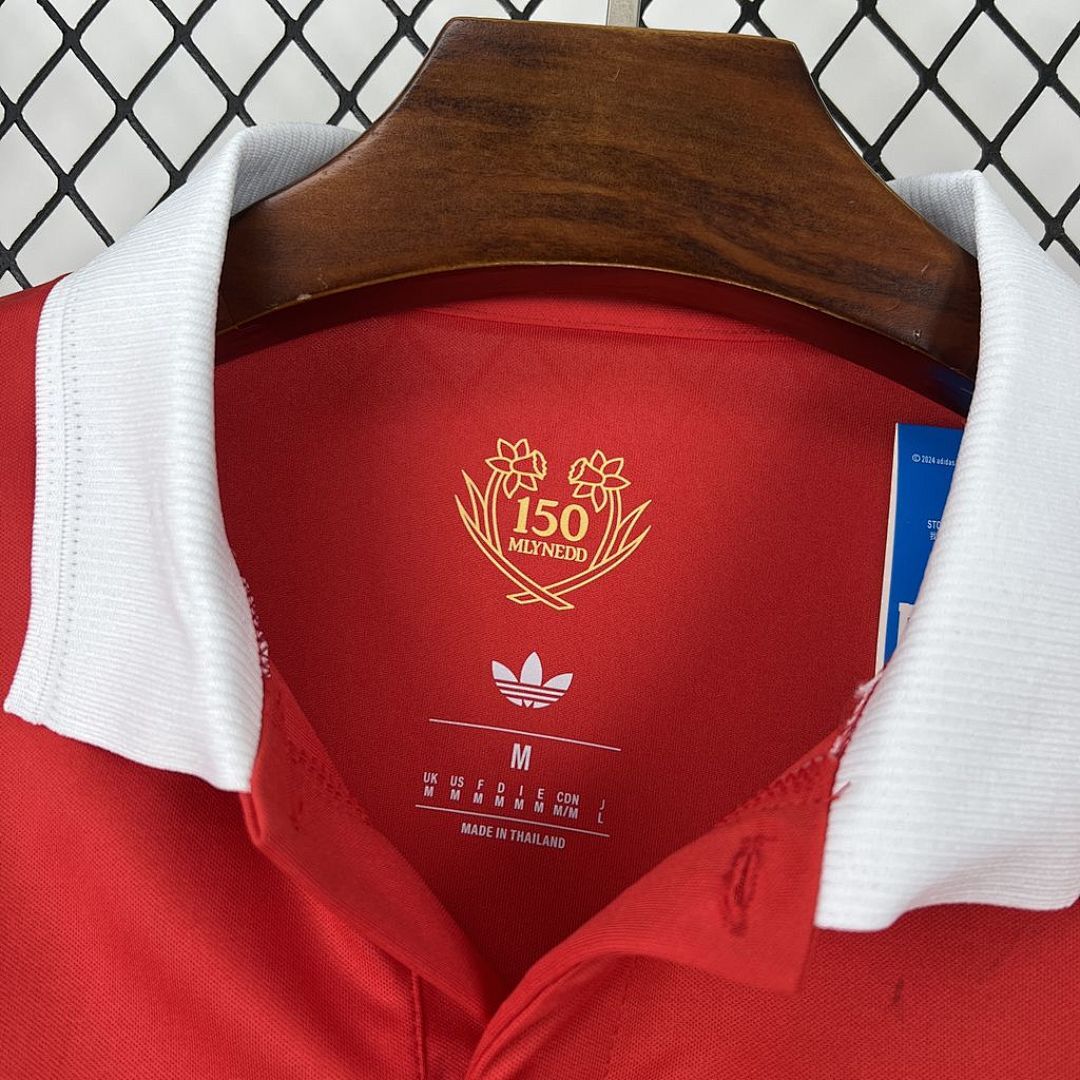 Camisola Seleção País de Gales Edição Especial 2025/26 3