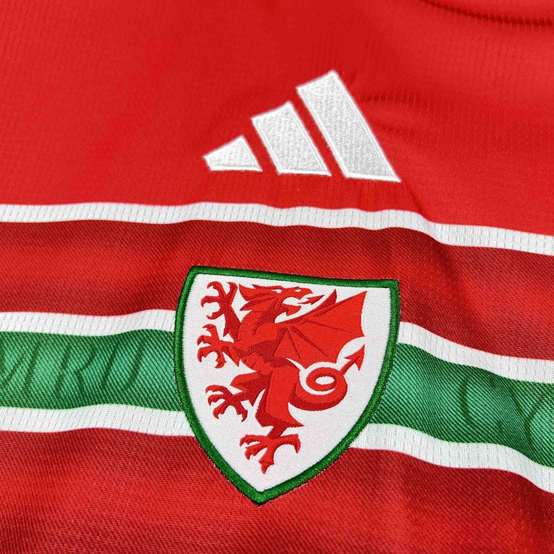 Camisola Seleção País de Gales Home 2025/26 3