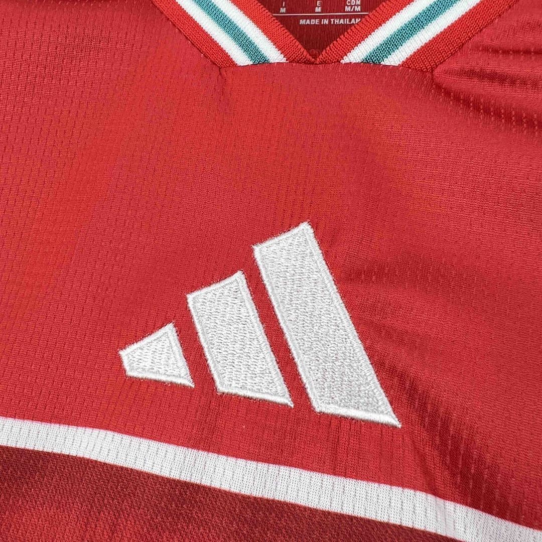 Camisola Seleção País de Gales Home 2025/26 4