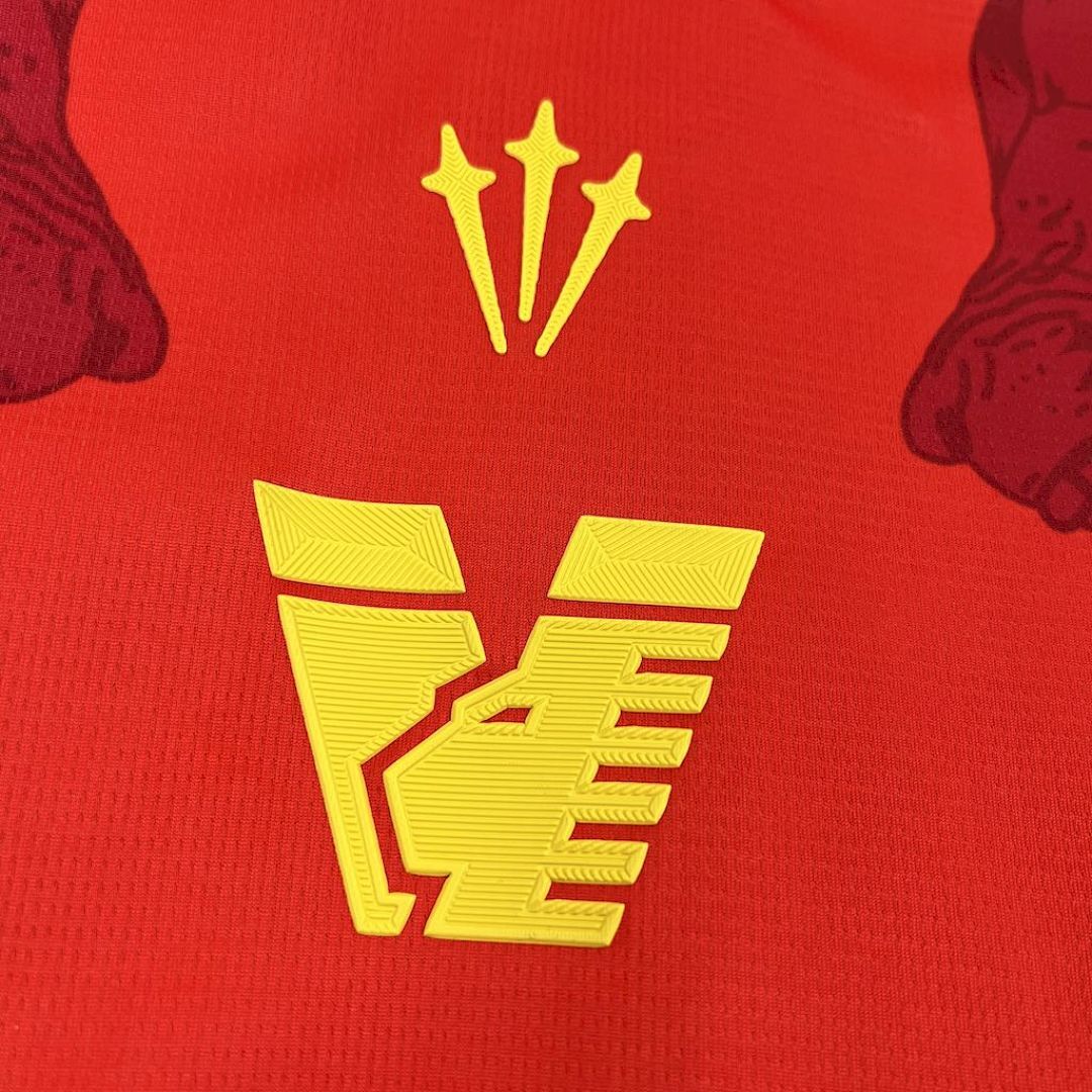 Camisola Venezia FC Edição Especial 2025/26 5