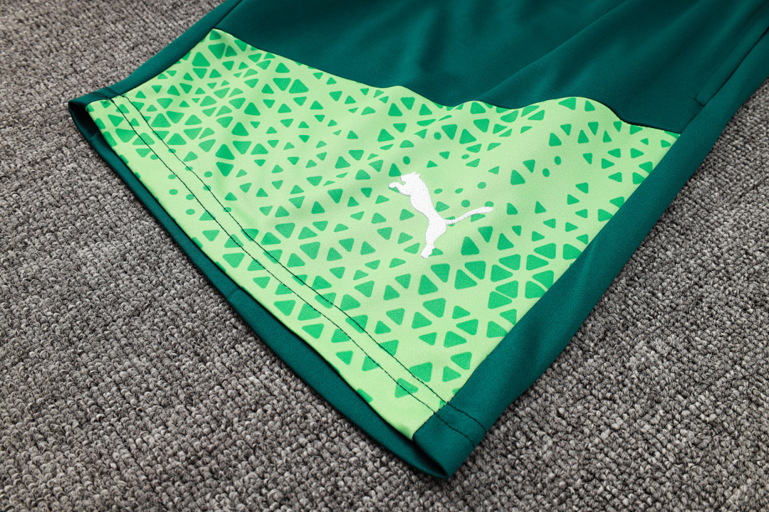Fato de Treino Palmeiras 2026/27 — Verde 4