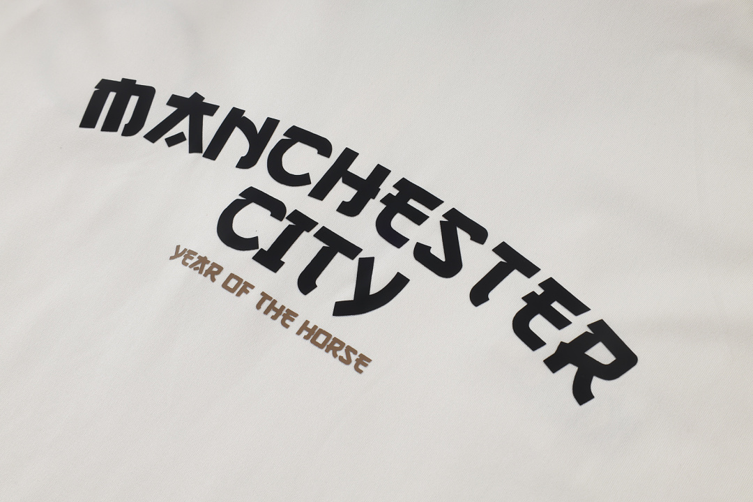 Fato de Treino Manchester City Manga Longa 2026/27 — Bege 5